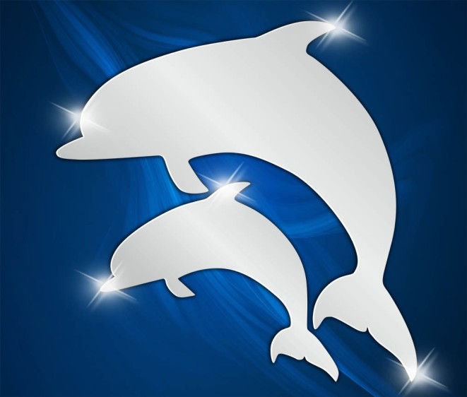 Oglindă acrilică Reflex 011