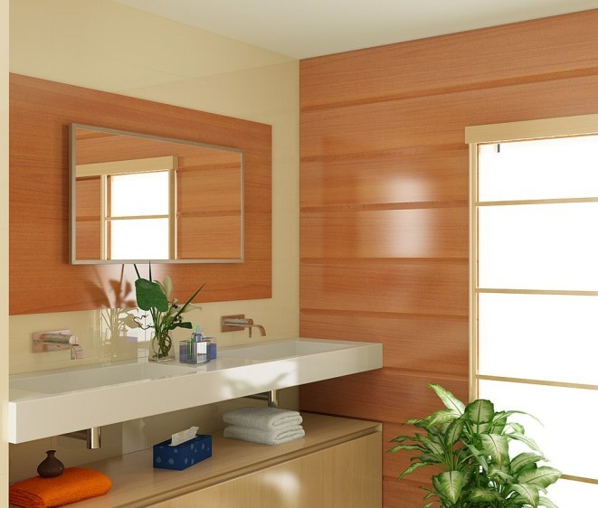 Oglindă  alu 001 Inox - Fotografie 2